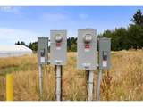 40801 Trubel Rd - Photo 33