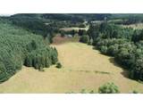 13794 Clear Creek Rd - Photo 10