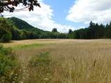 13794 Clear Creek Rd - Photo 37