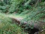 13794 Clear Creek Rd - Photo 39