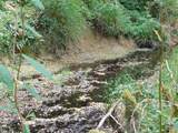 13794 Clear Creek Rd - Photo 40