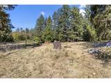426 Lou Gray Dr - Photo 24
