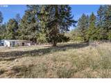 426 Lou Gray Dr - Photo 25