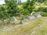 82086 Lost Creek Rd - Photo 34