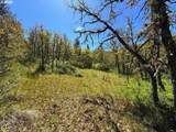  Kestrel Rd - Photo 28