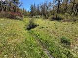  Kestrel Rd - Photo 30
