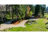 46836 Mckenzie Hwy - Photo 17