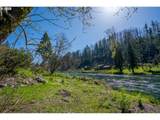 46836 Mckenzie Hwy - Photo 45