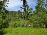  Lewis Cemetery Rd - Photo 1