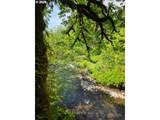  Lewis Cemetery Rd - Photo 2