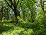  Lewis Cemetery Rd - Photo 4