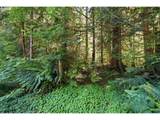 50136 Weber Rd - Photo 42