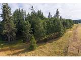 24 Meadows Loop - Photo 12