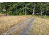 24 Meadows Loop - Photo 14
