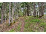 24 Meadows Loop - Photo 17