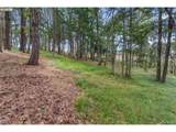 24 Meadows Loop - Photo 18