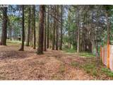 24 Meadows Loop - Photo 19