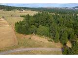 24 Meadows Loop - Photo 21