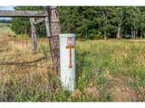 24 Meadows Loop - Photo 25