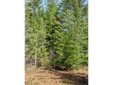  Lahar Ln - Photo 11