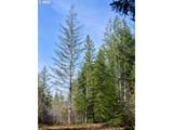  Lahar Ln - Photo 13