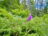  Lahar Ln - Photo 17