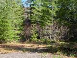  Lahar Ln - Photo 5