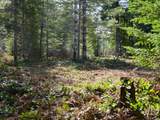  Lahar Ln - Photo 9