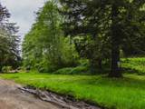 01100 New Bridge Rd - Photo 4