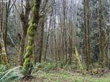  Tide Creek Rd - Photo 9