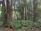 0 Myrtle Terrace Rd - Photo 15