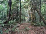 0 Myrtle Terrace Rd - Photo 16