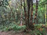 0 Myrtle Terrace Rd - Photo 18