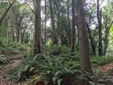 0 Myrtle Terrace Rd - Photo 21