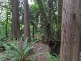 0 Myrtle Terrace Rd - Photo 24