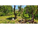  Miller Ln - Photo 11