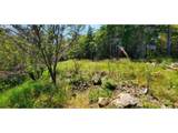  Miller Ln - Photo 13
