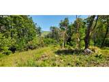  Miller Ln - Photo 15