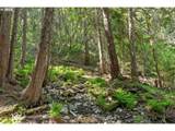 1910 Proctor Rd - Photo 23