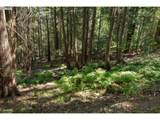 1910 Proctor Rd - Photo 24