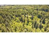 84546 Grant Creek Rd - Photo 24