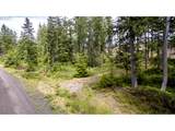 1 Lodgepole Ln - Photo 3