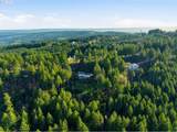 25445 Bald Peak Rd - Photo 39