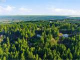 25445 Bald Peak Rd - Photo 41