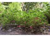 0 Sweet Creek Rd - Photo 19