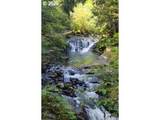 0 Sweet Creek Rd - Photo 29