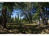  Lasater Blvd - Photo 11