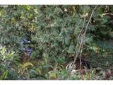 0 Arrowhead Trails - Photo 7