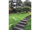 907 5TH St - Photo 11