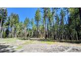 2100 Saratoga Way - Photo 28